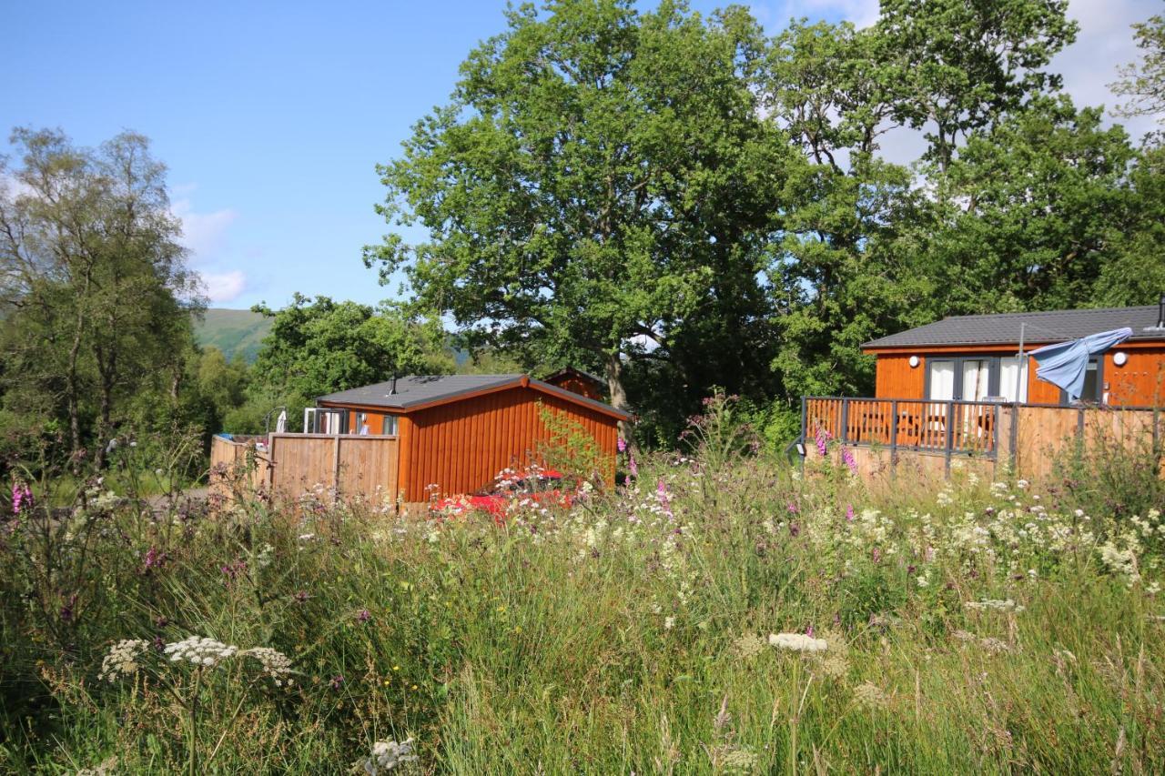 Balquhidder Braes Holiday Park Lodges, Mostly With Hot Tubs And Pet Friendly, Ev Facilities Lochearnhead Exteriör bild