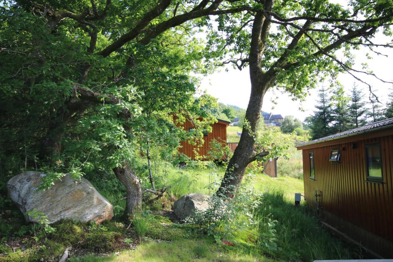 Balquhidder Braes Holiday Park Lodges, Mostly With Hot Tubs And Pet Friendly, Ev Facilities Lochearnhead Exteriör bild