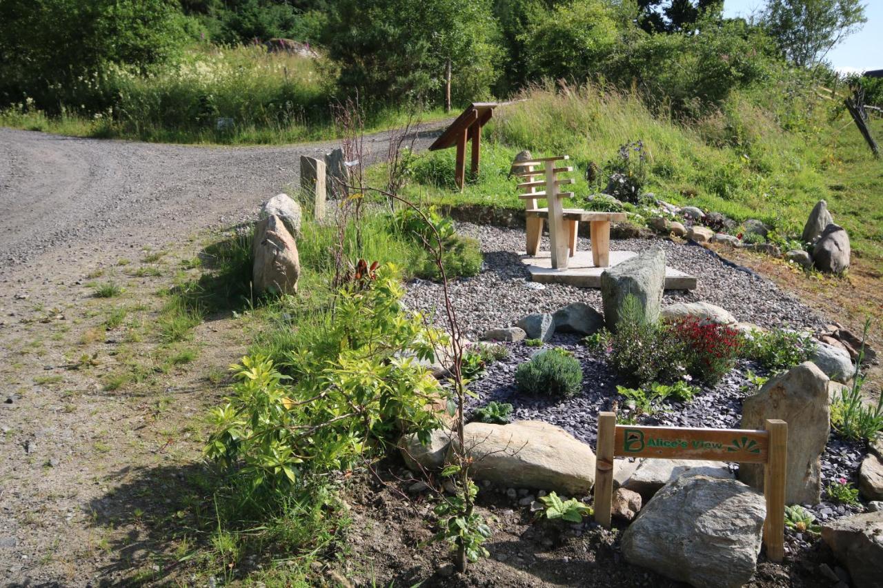 Balquhidder Braes Holiday Park Lodges, Mostly With Hot Tubs And Pet Friendly, Ev Facilities Lochearnhead Exteriör bild